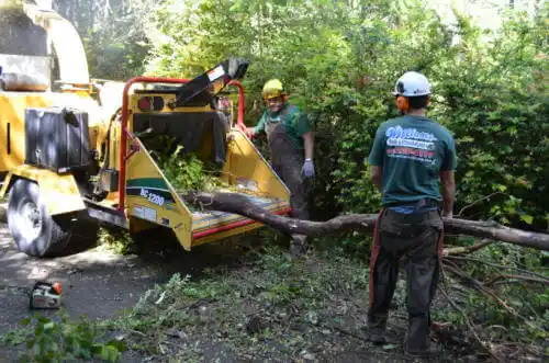 tree services Hamburg